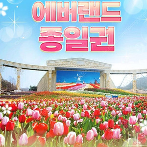 에버랜드 종일권 판매해요!! 6장