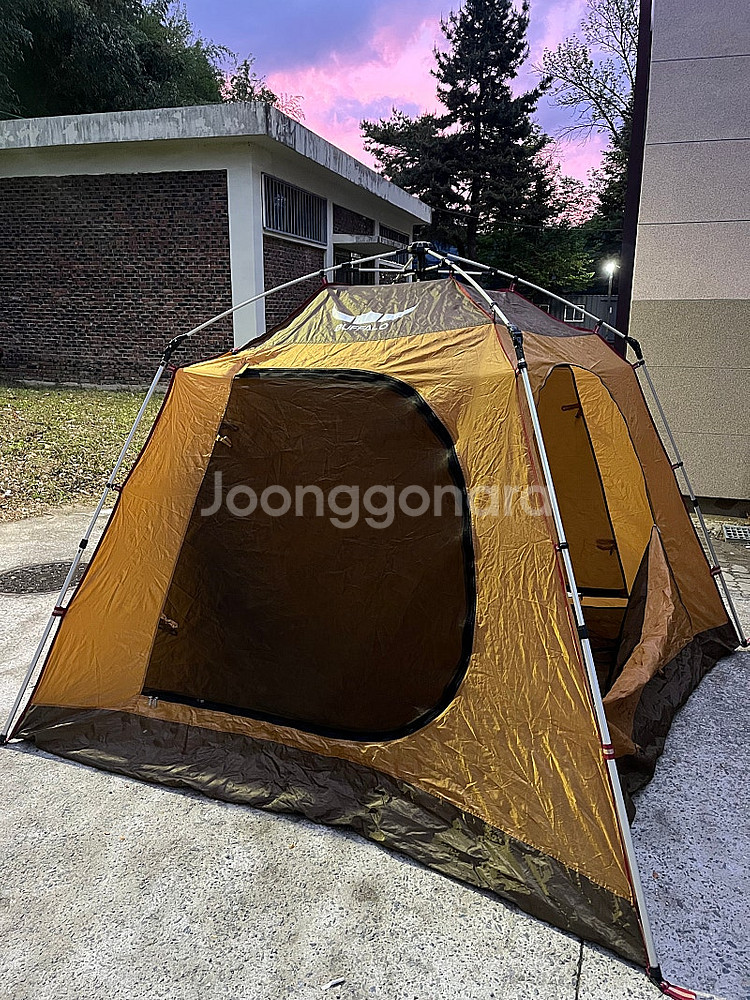 버팔로 뉴 와이드 타프 오토텐트--0