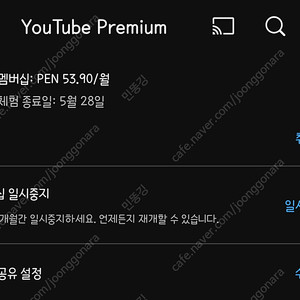 유튜브 프리미엄 페루 패밀리 1년