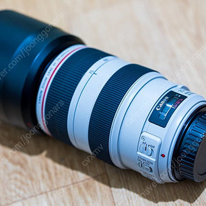 캐논 ef70-300mm f4-5.6 L렌즈