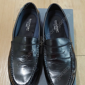 락포트cj2598