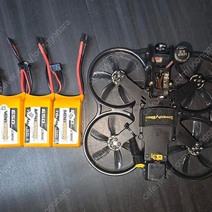 fpv speedybee 2.5인지