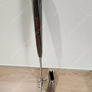 (미개봉) 2025 신형 스카티카메론 스튜디오 스타일 뉴포트2 (국내정품) 34인치, 33인치 새제품 65만원 팝니다.