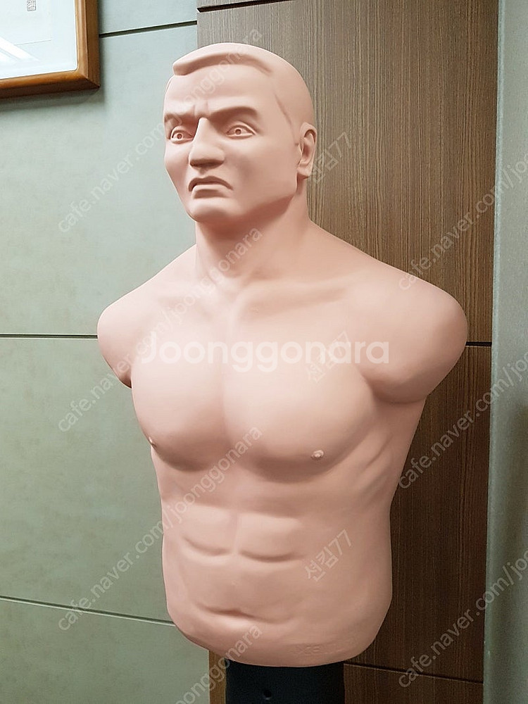 센츄리밥 샌드백 팝니다--1