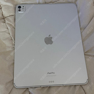 아이패드 프로 m4 13인치 셀룰러 256GB 실버