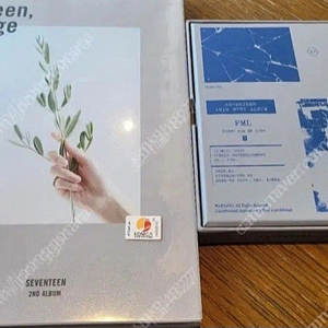 세븐틴 정규 2집+미니 10집 앨범 일괄
