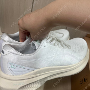 젤카야노30 화이트 270
