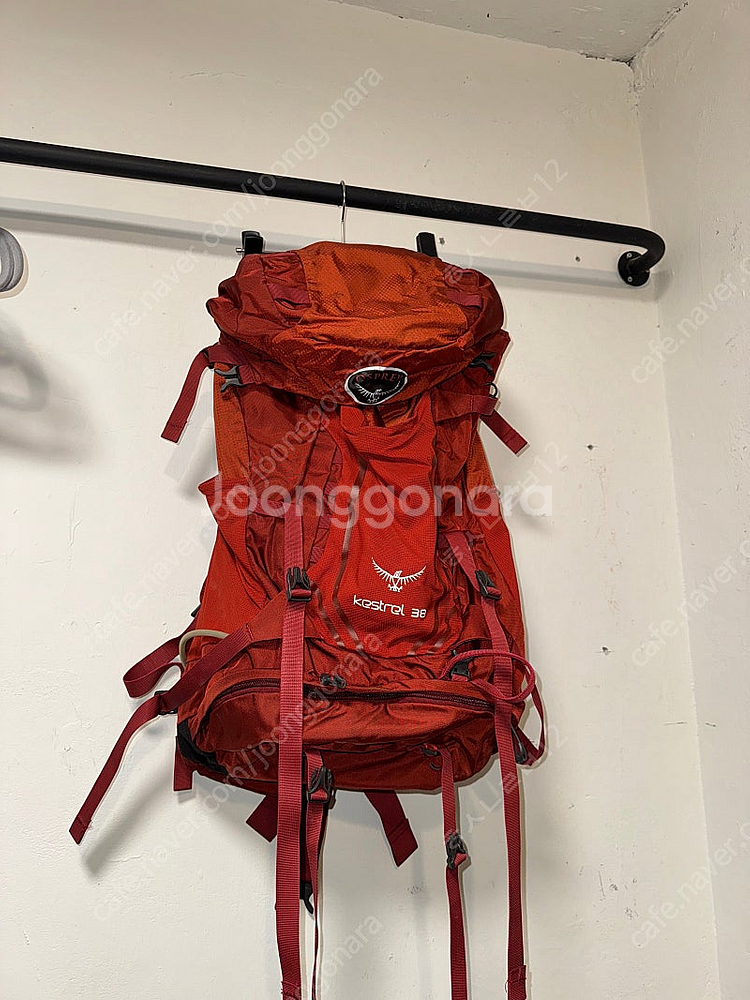 오스프리 배낭 캐스트럴 Kestrel 38L - 안심되는 중고거래