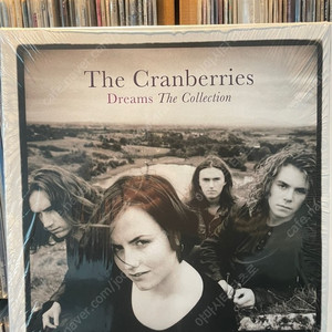 The Cranberries 크랜베리스 lp - Dreams: The Collection (LP)