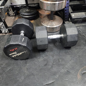 덤벨 32.5kg 한쌍