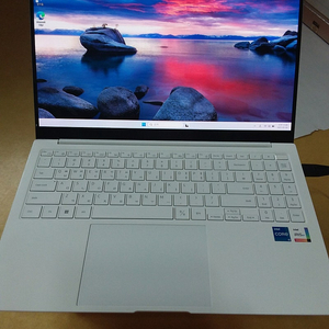 갤럭시북 NT951XDB i5-1135G7 SSD768