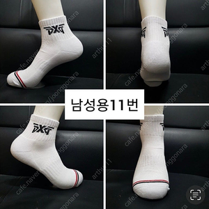 타이틀 pxg 골프 스포츠 양말