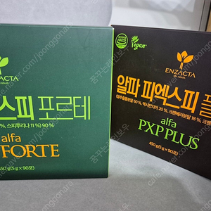 엔젝타 포르테