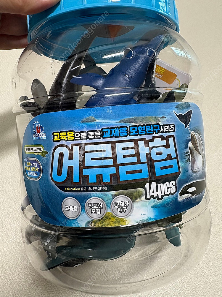 이종욱완구 자연은 살아있다 어류탐험 바다생물피규어 새상...--0
