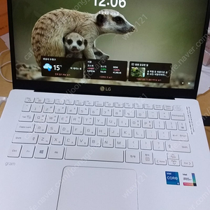 LG그램 i5-1135G7 14Z95N-GP50ML SSD512
