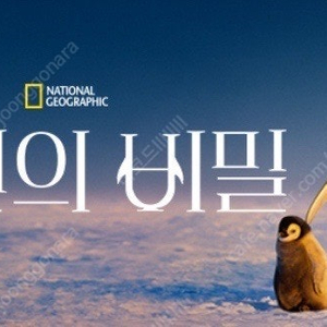 CGV 5,000원 바이러스 / 파과 메가박스 썬더볼츠* 롯데시네마 야당 7,000원