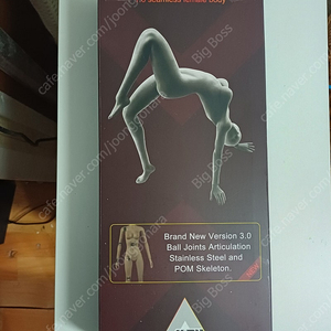 12인치 커스텀 여성 피규어 팝니다 (실리콘 바디)
