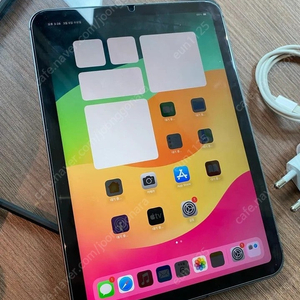 아이패드미니6 스그색상 256GB 셀룰러