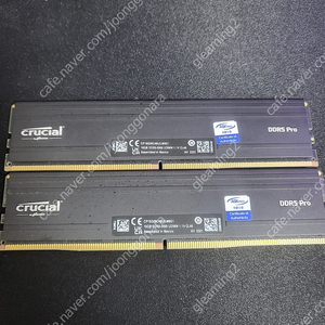 크루셜 ddr5 pro 5600mt/s 램 32gb