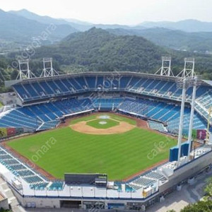 삼성 엘지 삼성라이온즈 엘지트윈스 이번주 주말 경기 1루원정석 1루 스카이상단 양도 5/11(토) 5/12(일)