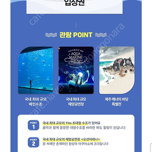 제주 아쿠아플라넷 3인입장권