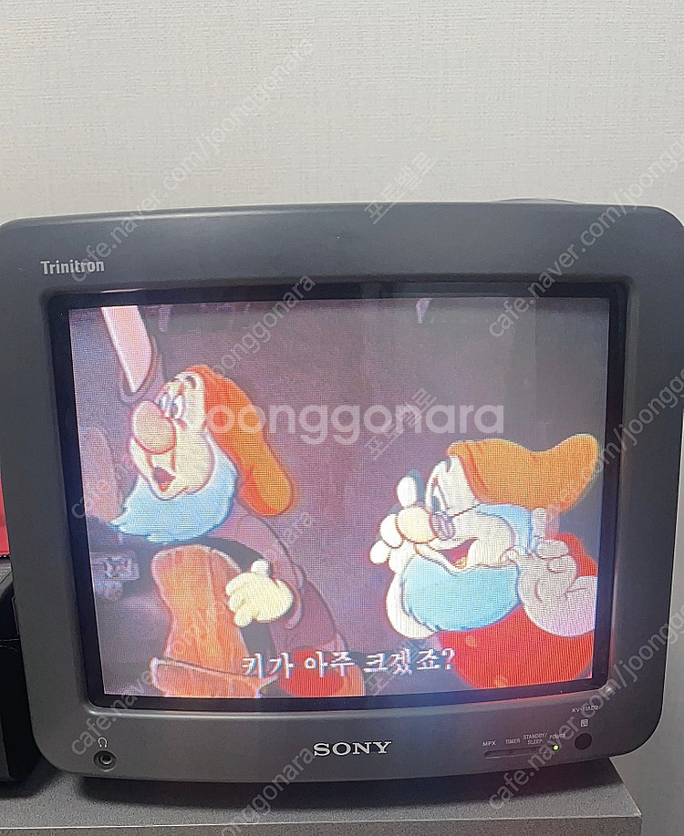백설공주와 일곱난쟁이 비디오테이프--5