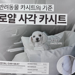 카시트 초코펫 하우스 애견카시트 펫시트