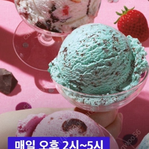 베스킨라이빈스 싱글레귤러 1플러스1