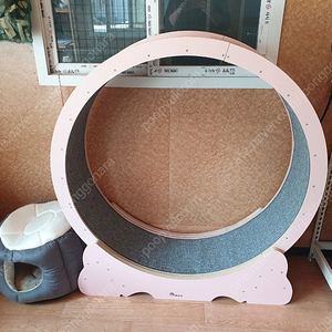 런캣 캣휠