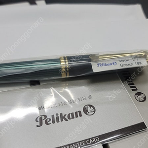 독일 펠리칸(Pelikan) 프리미엄 M800 그린 만년필 F팬촉