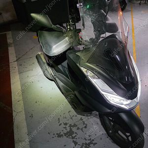 PCX125(ABS) 24년식 2024