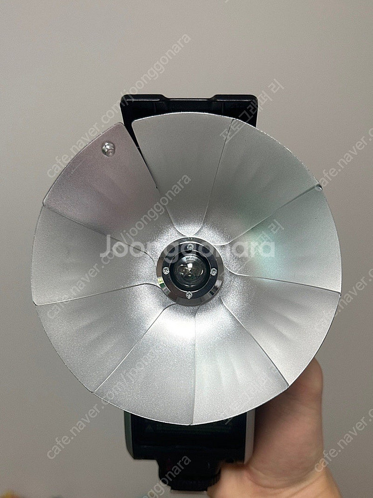 고독스 럭스 시니어--0