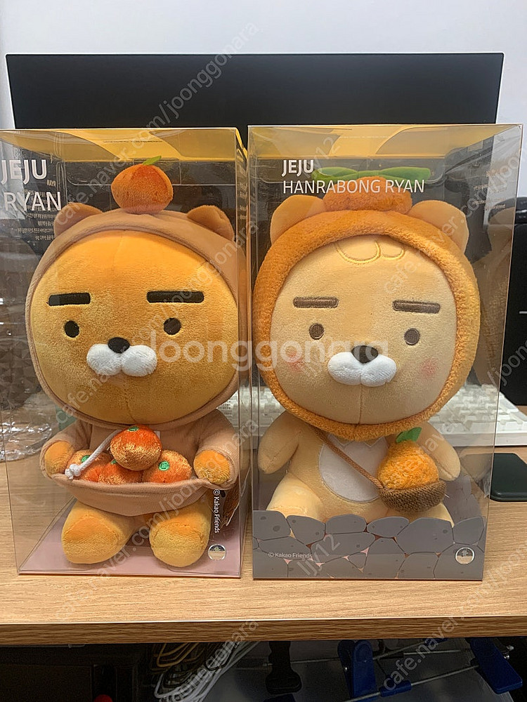 제주 라이언, 제주 한라봉 러이언--0