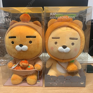 제주 라이언, 제주 한라봉 러이언