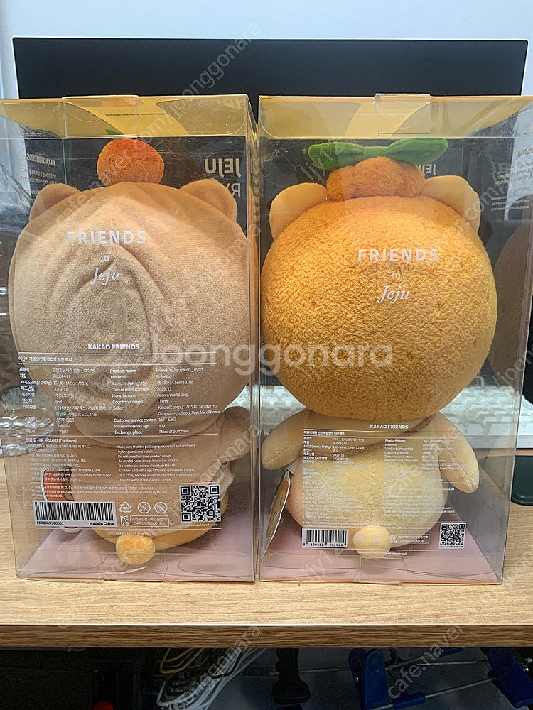 제주 라이언, 제주 한라봉 러이언--1