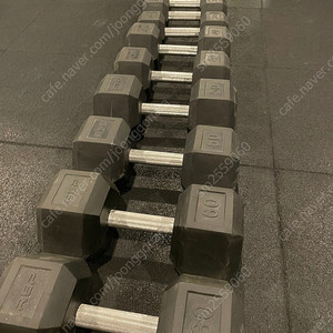 [A급 중고] 랩피트니스 헥스 덤벨세트 5~60파운드 / 총 430파운드=195kg 일괄판매 REP FITNESS 육각덤벨 파운드덤벨 크로스핏 홈짐 헬스