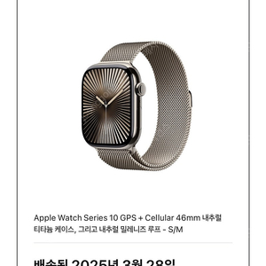 애플워치10 46mm 네추럴 티타늄 팝니다