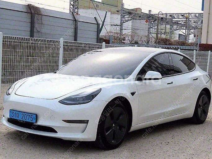 중고차 테슬라 모델 3 EV AWD 롱 레인지 21년형...--0