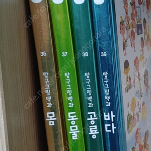 대교 이야기 지식동화 전집 새책수준
