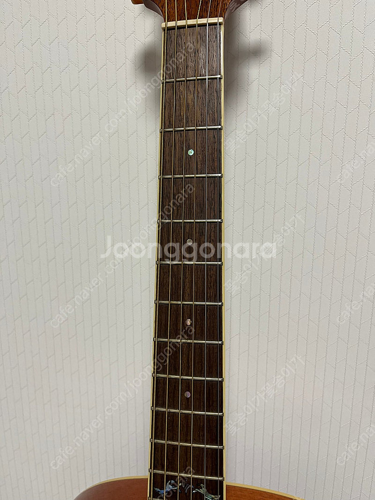 크래프터 통기타 OMEGA CSR PLUS 상태 좋음--2