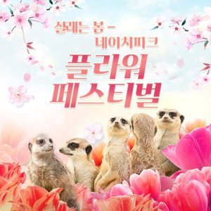 대구 네이처파크 종일권 1인 (5/10 토)