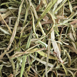 건토란대 말린 토란대 1kg