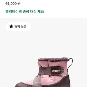 나이키 플랙스 어드밴스 부츠