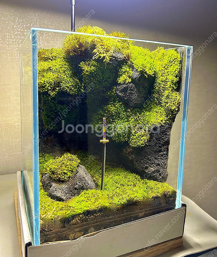 절벽 테라리움,비바라움 어항(택배가능)--1