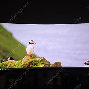 커세어 제논 울트라와이드 34인치 21:9 240hz OLED 게이밍 모니터 팝니다 (Corsair XENEON 34WQHD240-C QD-OLED)​