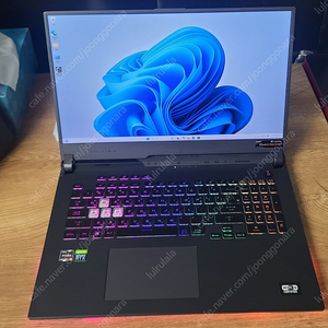 ASUS G713QM(라이젠9 5900hx ram64g ssd2tb)