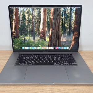 [애플] 2019 맥북프로 16인치 i7/16G/512G/라데온Pro5300M 스그 MVVJ2KH/A