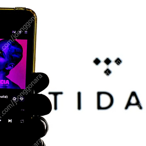 타이달 tidal 최고등급계정 파티원 구함