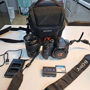 소니 a100 dslr
