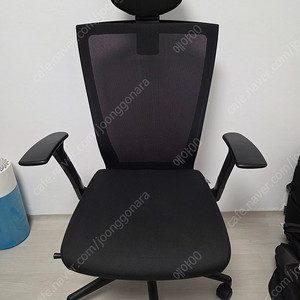 시디즈 T50 팝니다